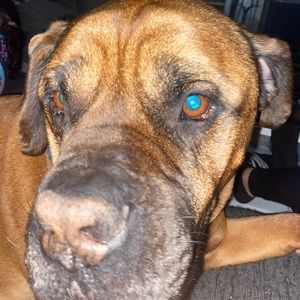 Meet your Posher, Mae